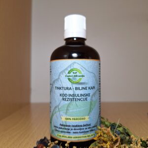 Insulinska-Rezistencija